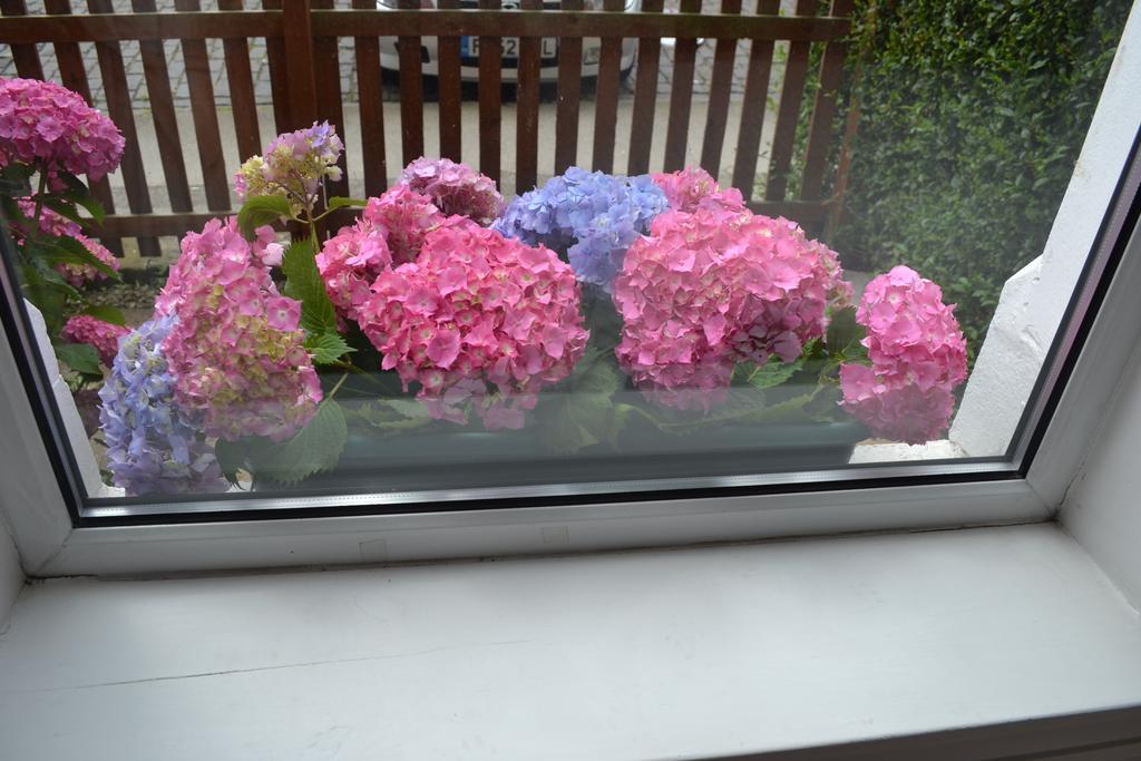 Pitt Street Apartment Beautiful Spacious Apartment Free Parking And Free Sanitizer Edinburgh Eksteriør bilde